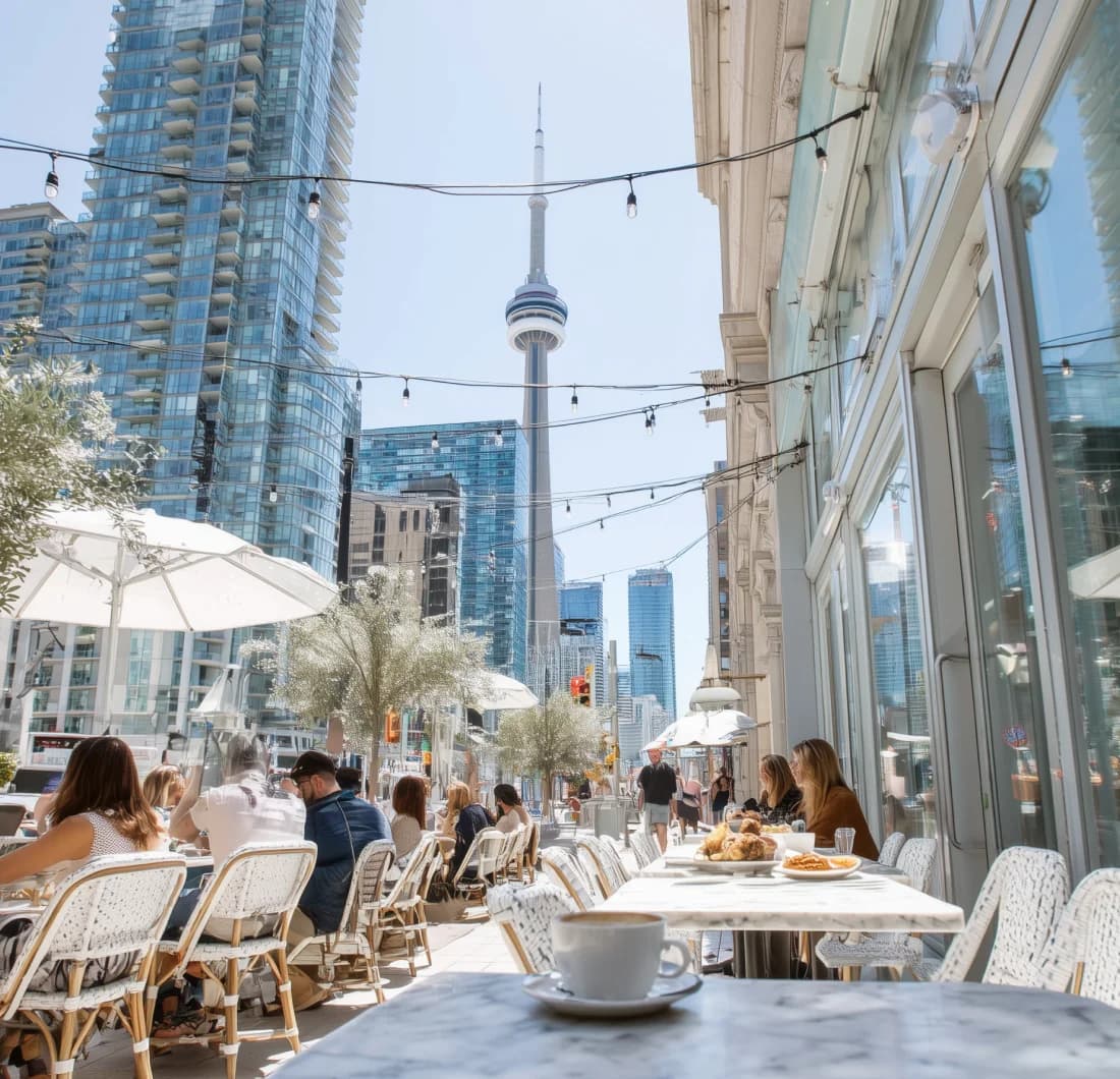 Local SEO monitoring dashboard showing business profile audit